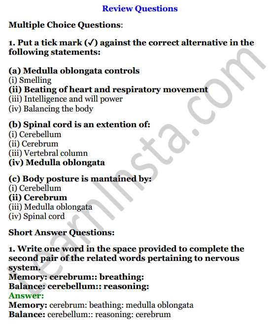 nervous system multiple choice questions and answers