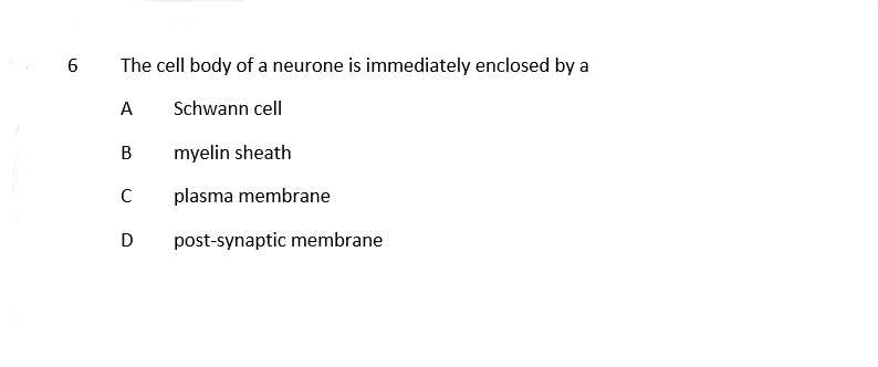 nervous system multiple choice questions and answers