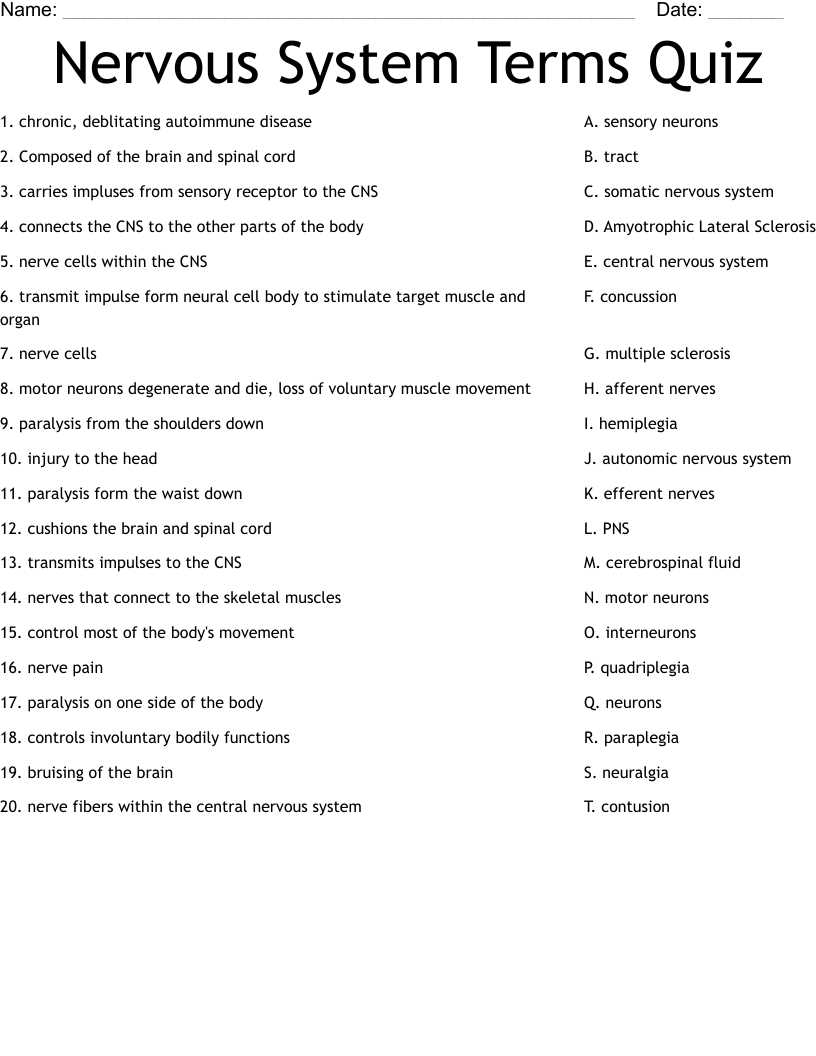 nervous system multiple choice questions and answers