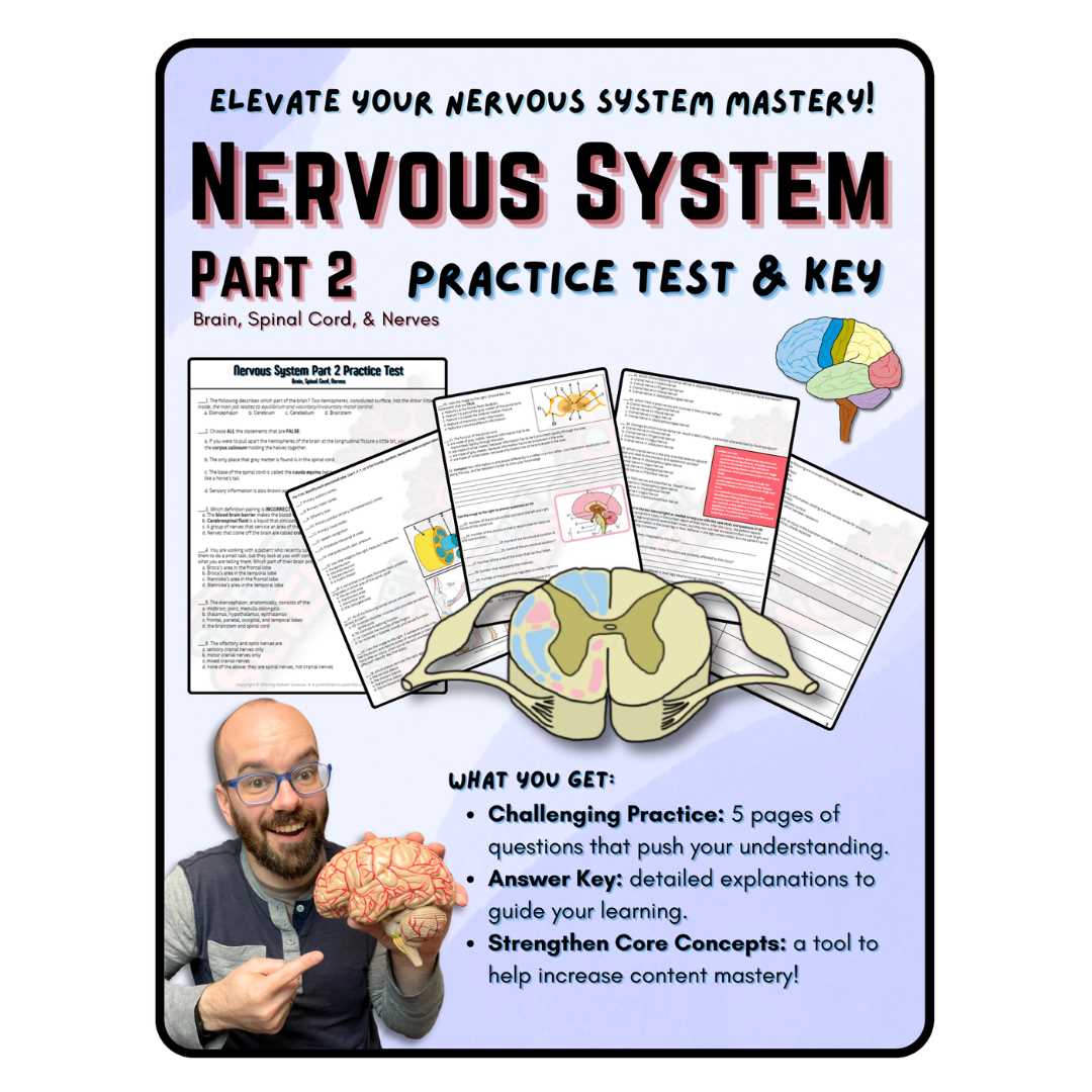 nervous system multiple choice questions and answers