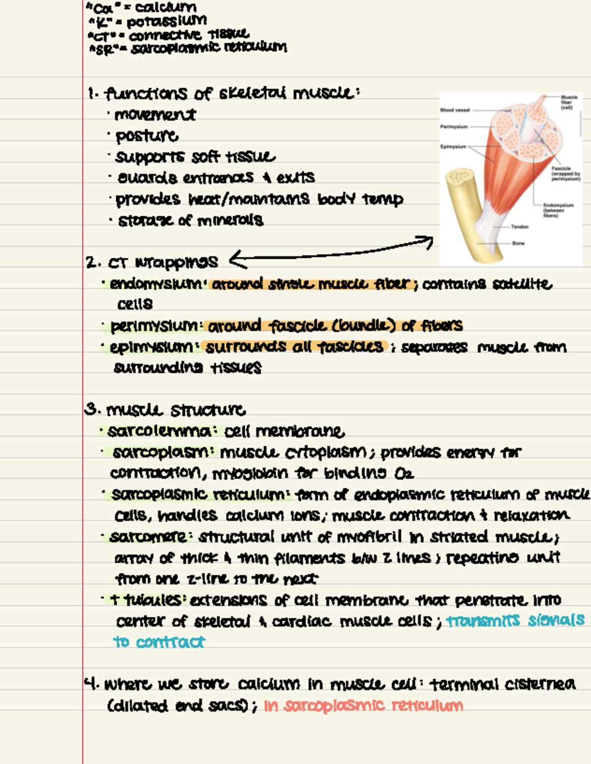 biology exam 3 answer key