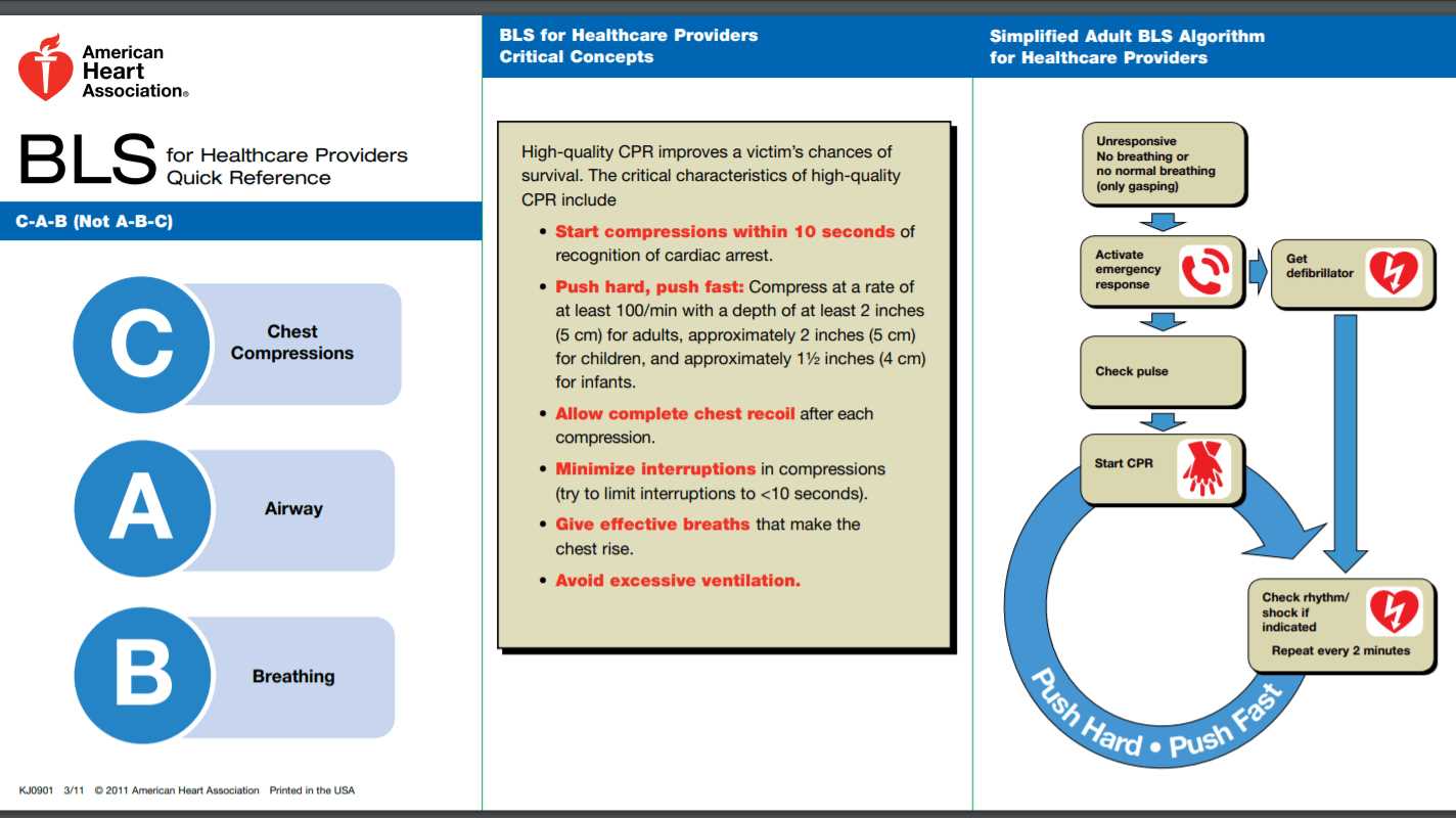 american heart association basic life support exam c answers