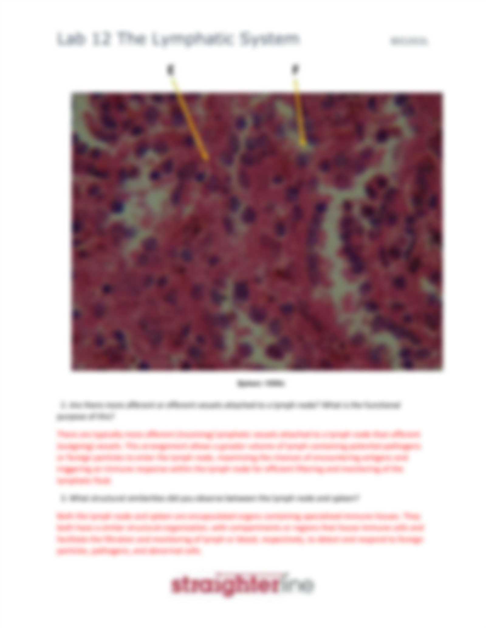 straighterline anatomy and physiology lab answers