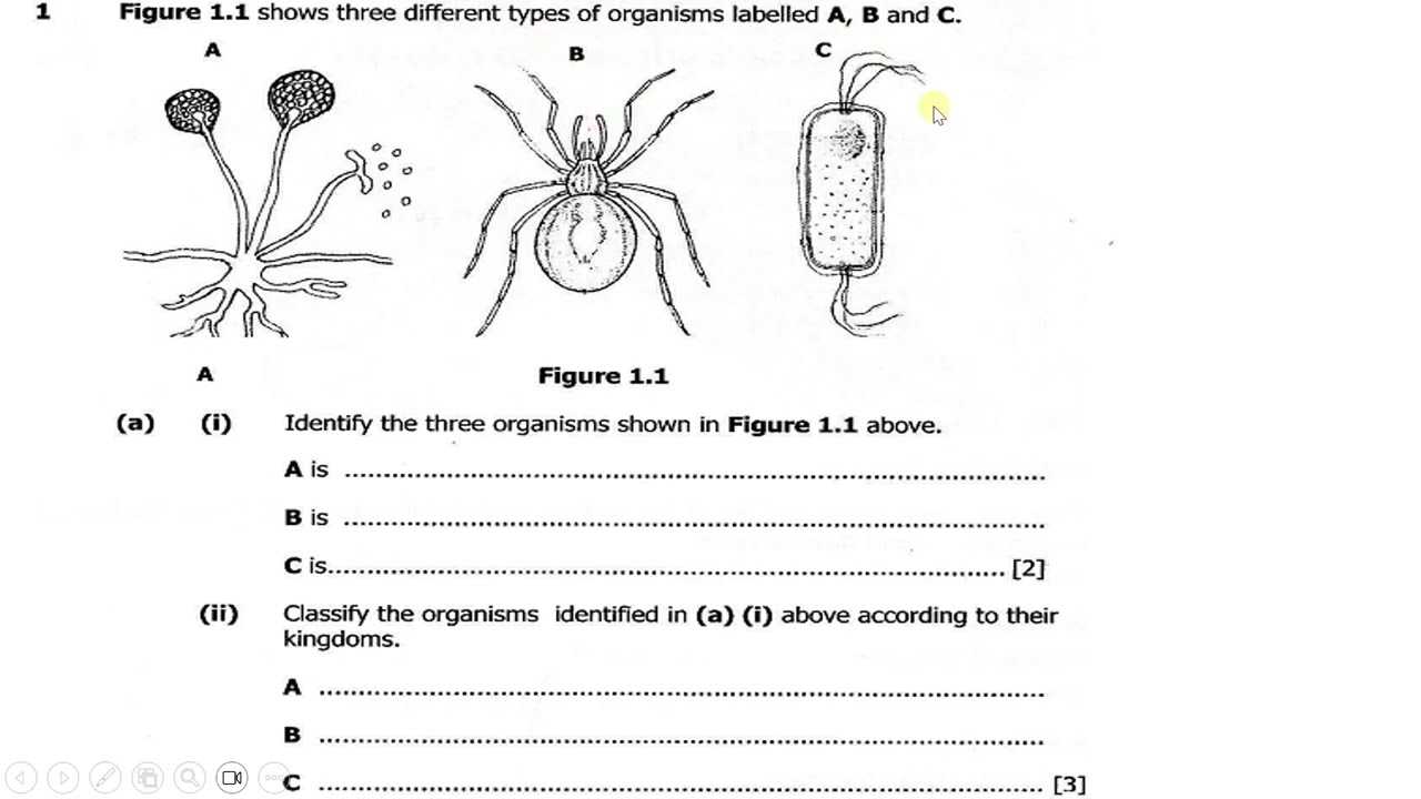 biology exam 2 answers