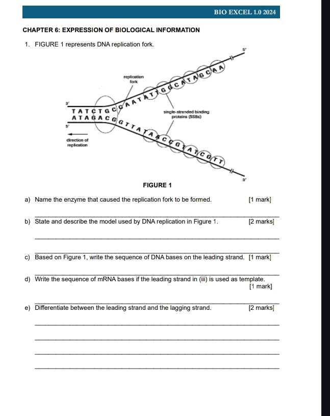 excel chapter 1 answer key