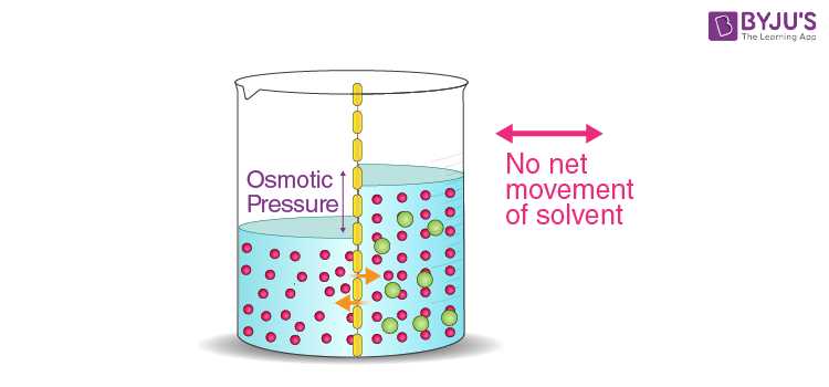 worksheet 8 osmosis basic concepts answers