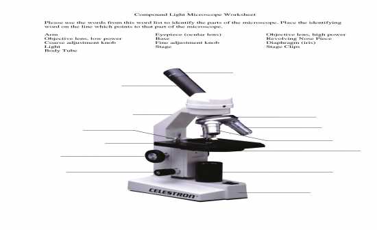 biology 101 lab practical exam