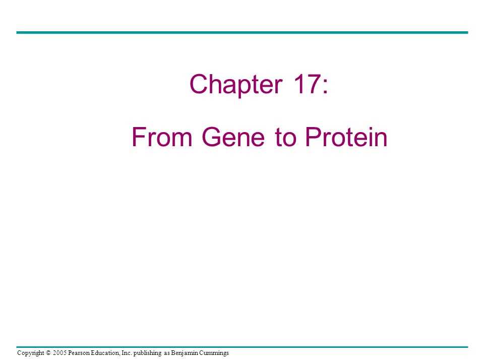 chapter 17 from gene to protein study guide answers