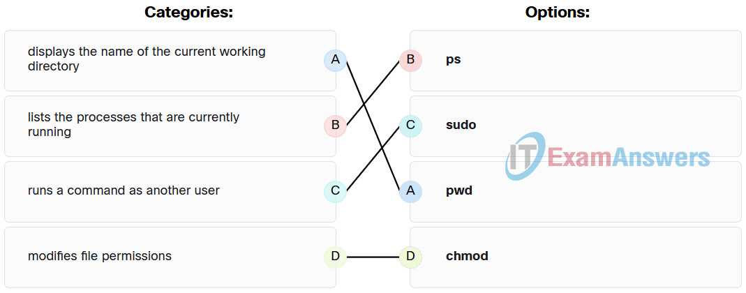 linux chapter 10 exam answers