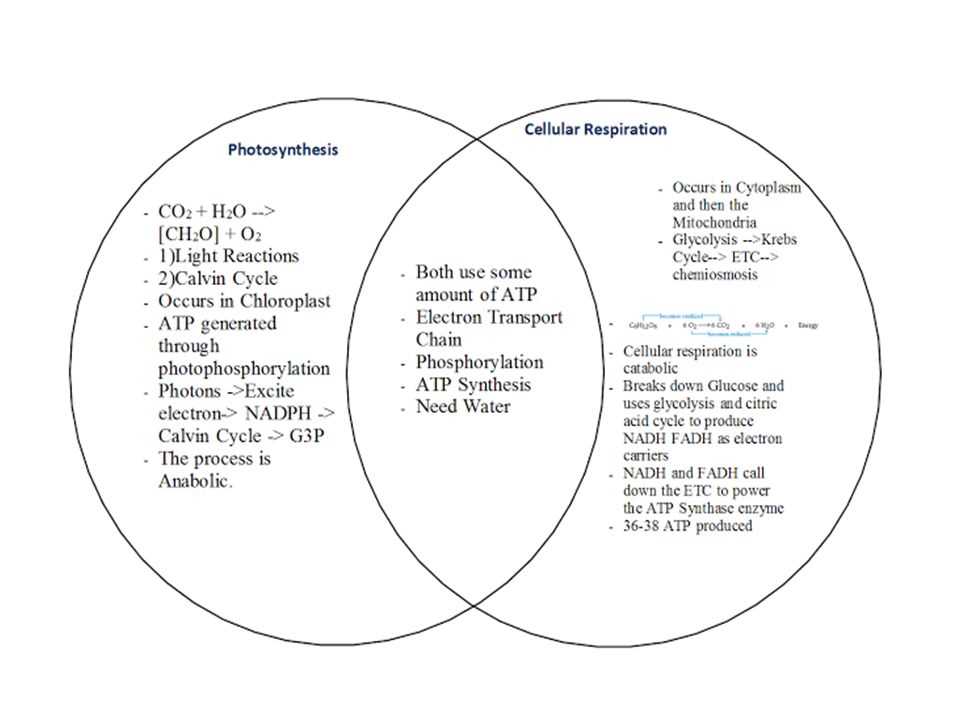 usatestprep worksheet answers