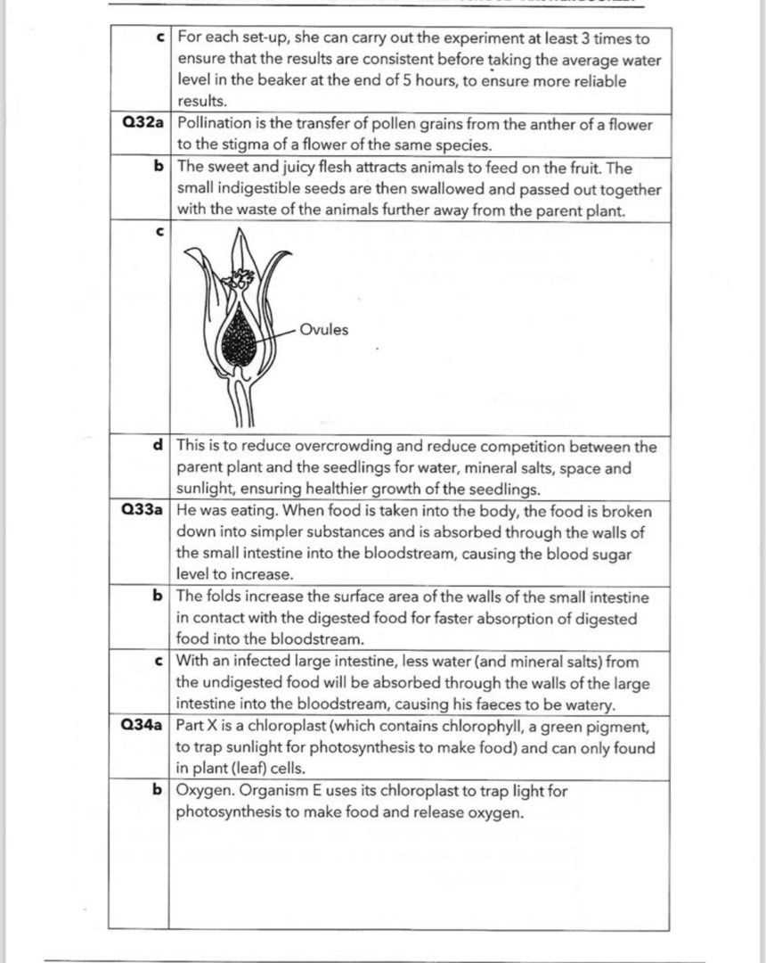 p5 exam answers