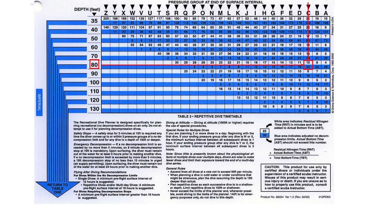 padi rdp metric exam answers