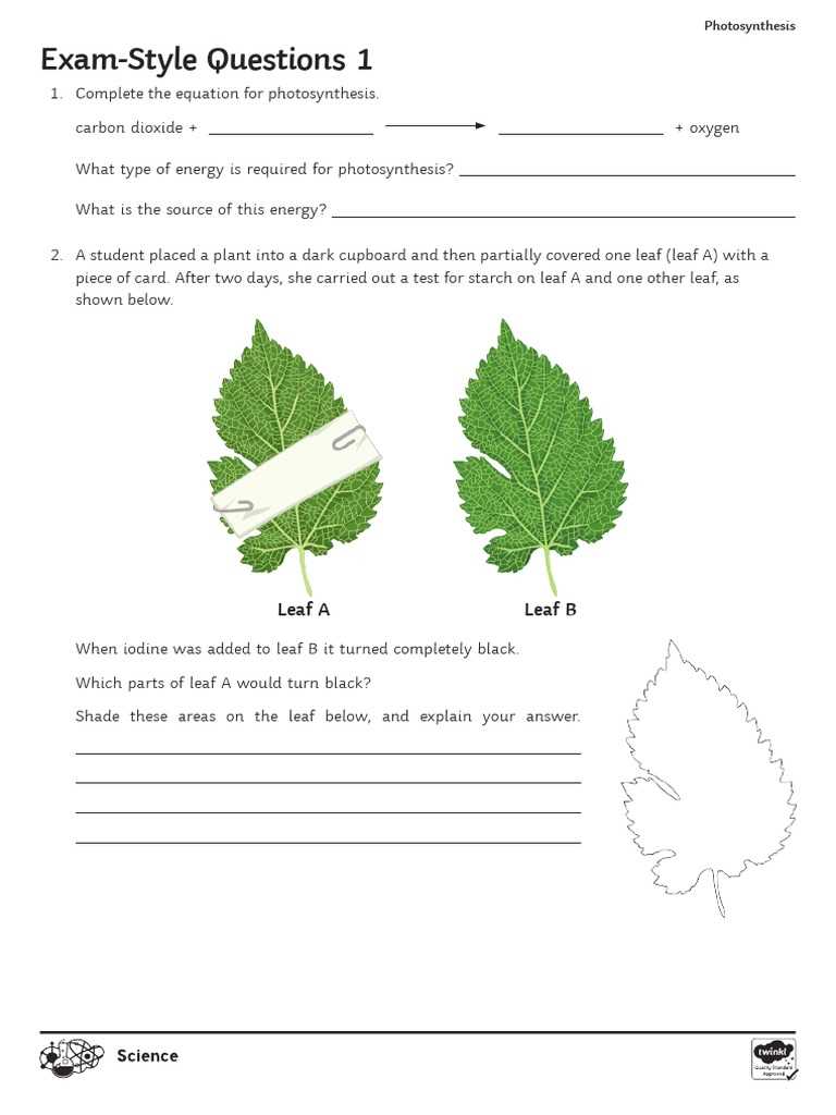 photosynthesis exam questions answers