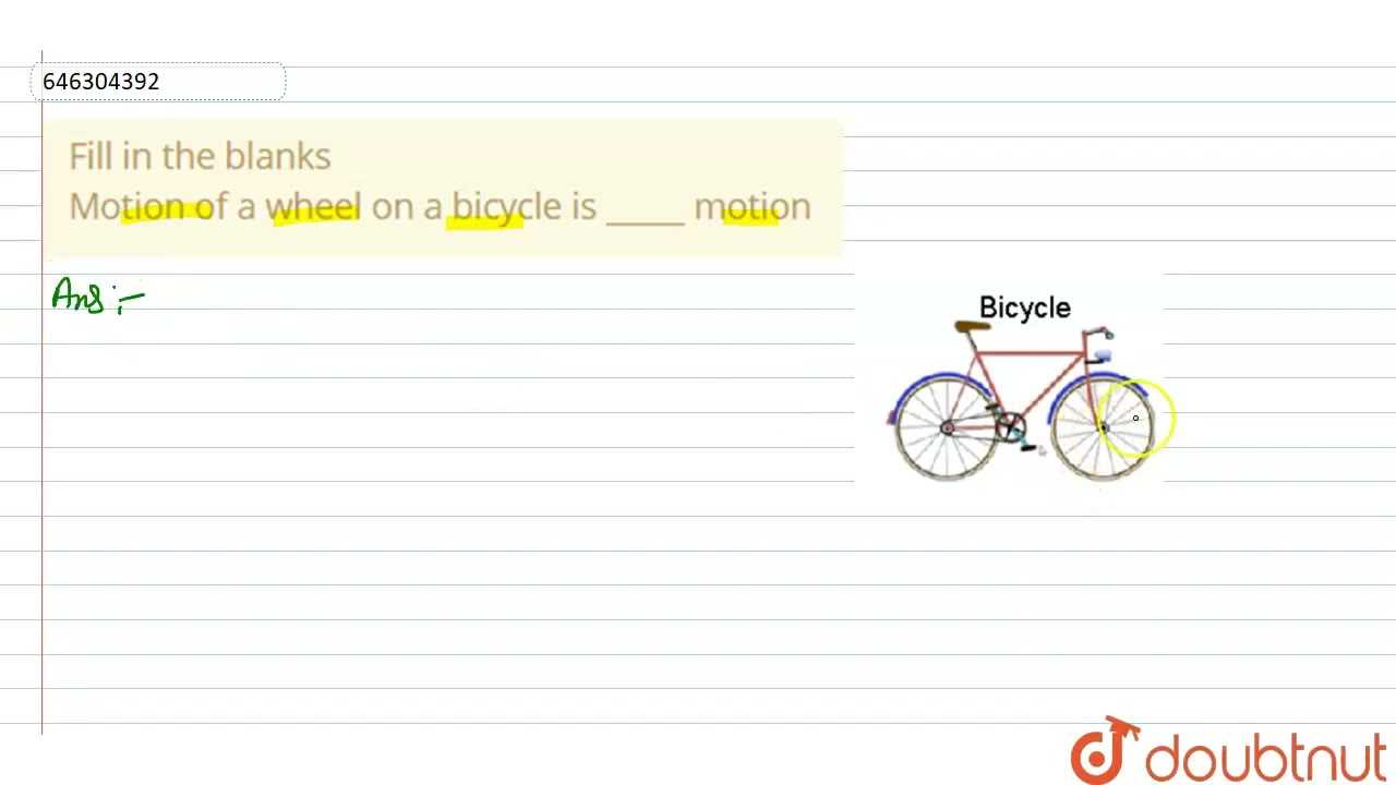 wheels in motion exam answers