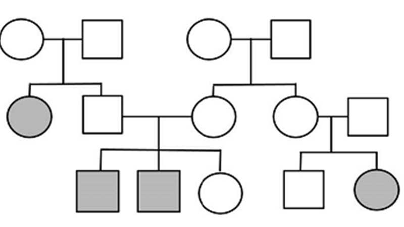 pedigree questions and answers