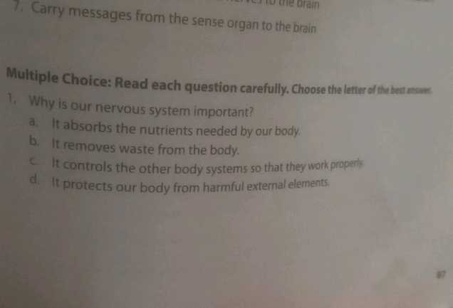 nervous system multiple choice questions and answers