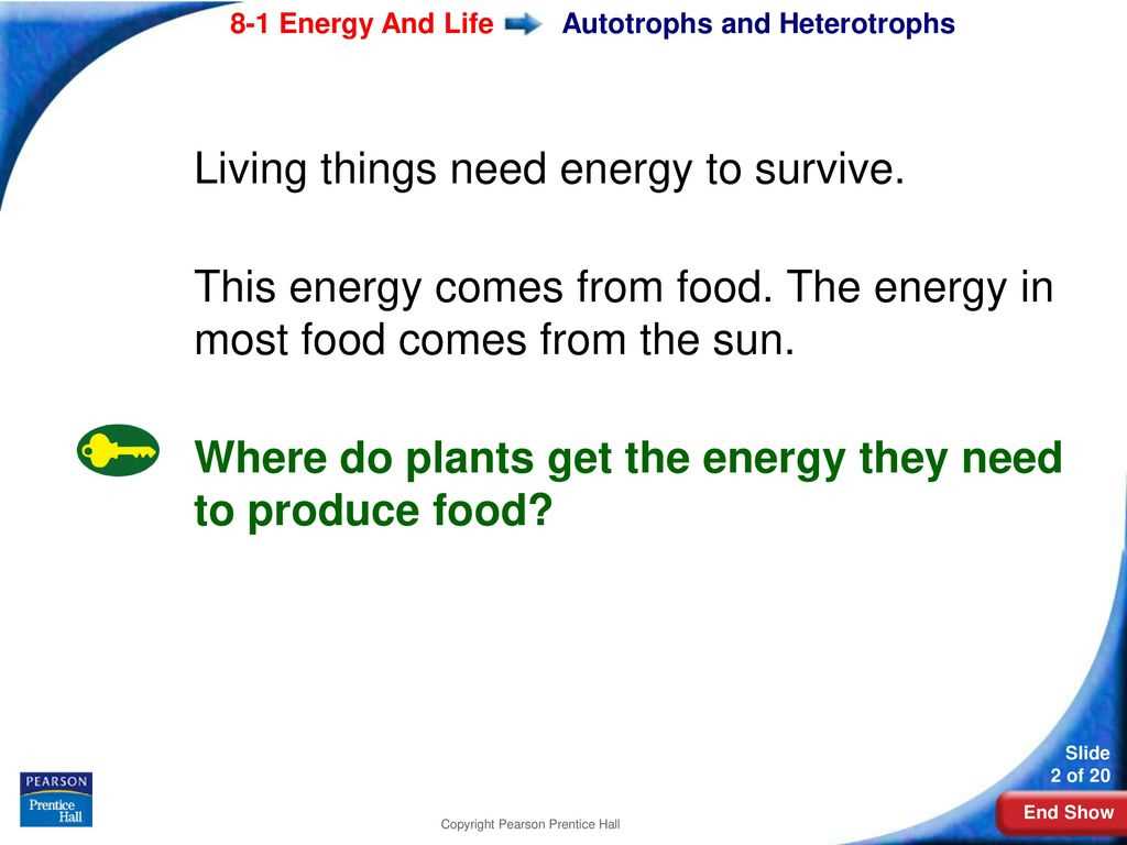 section 8 1 energy and life answer key