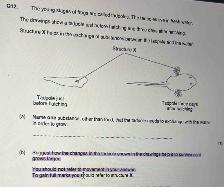 order of the tadpole exam answers