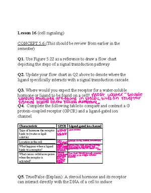 conceptual physics reading and study workbook chapter 9 answers