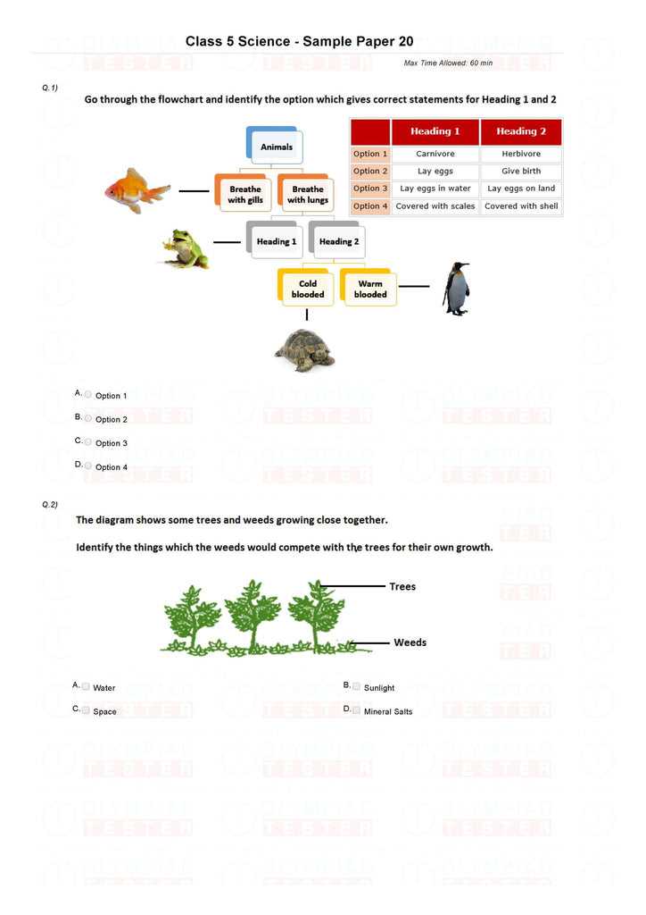 science olympiad questions and answers