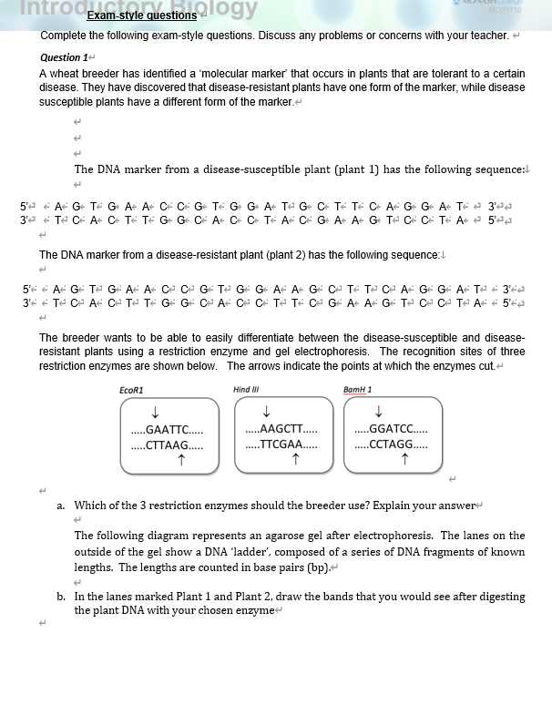 exam style questions answers