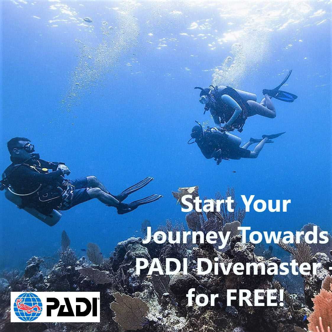 padi divemaster exam answers