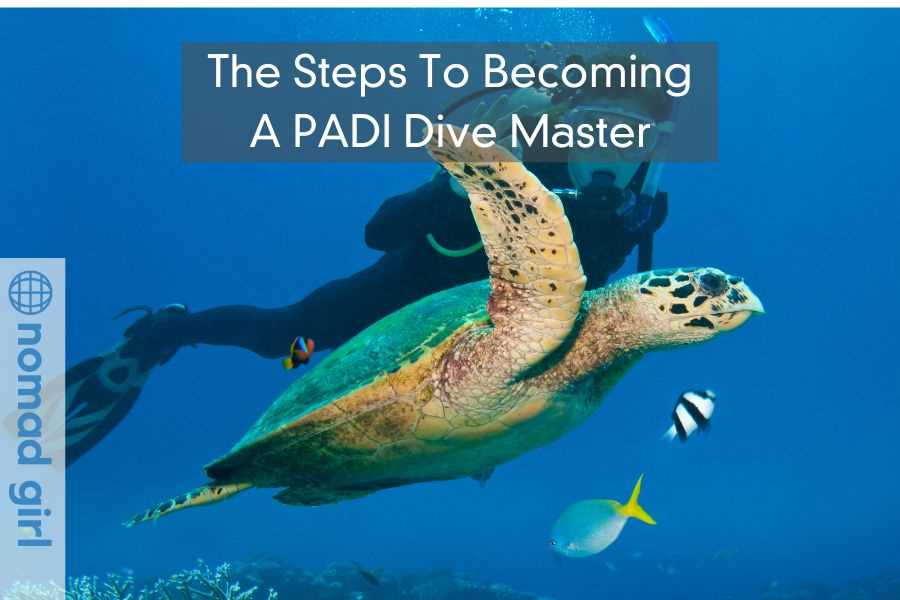 padi divemaster final exam part 1 answers