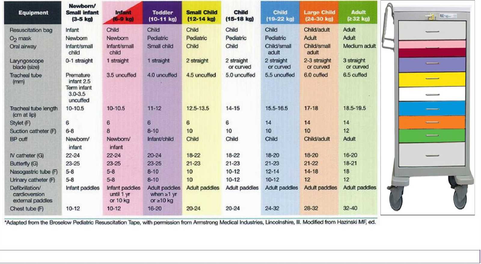 pals precourse self assessment answers 2025