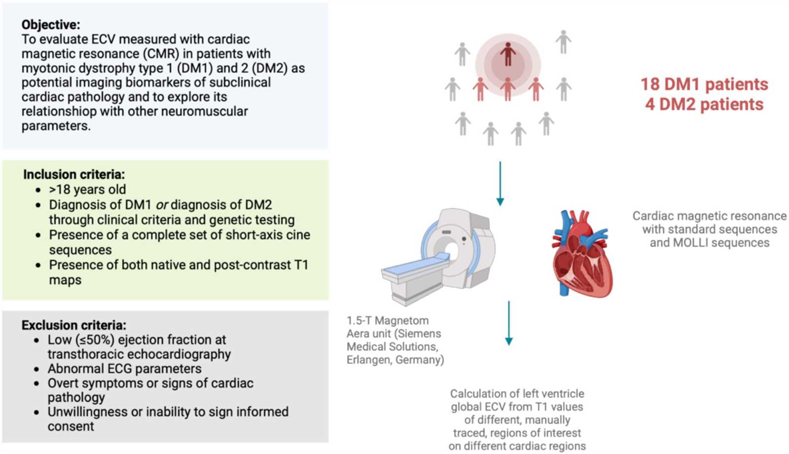 pathophysiology a clinical approach practice exam answers