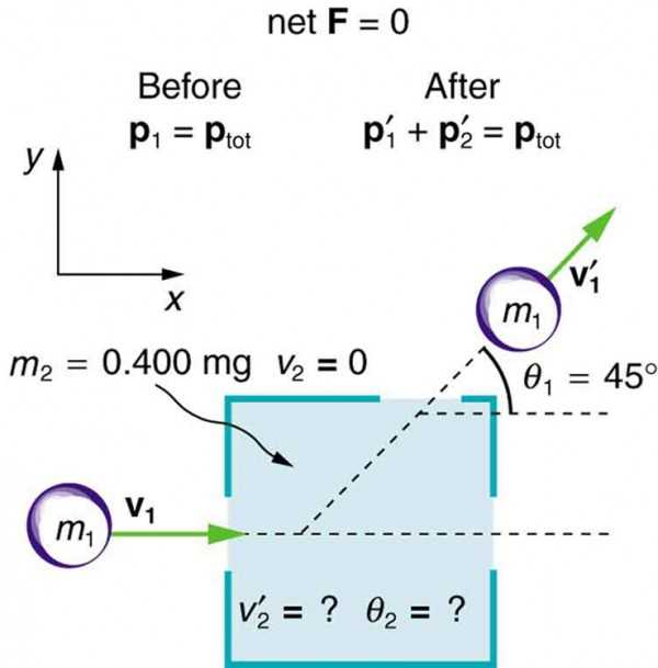 collision analysis answer key