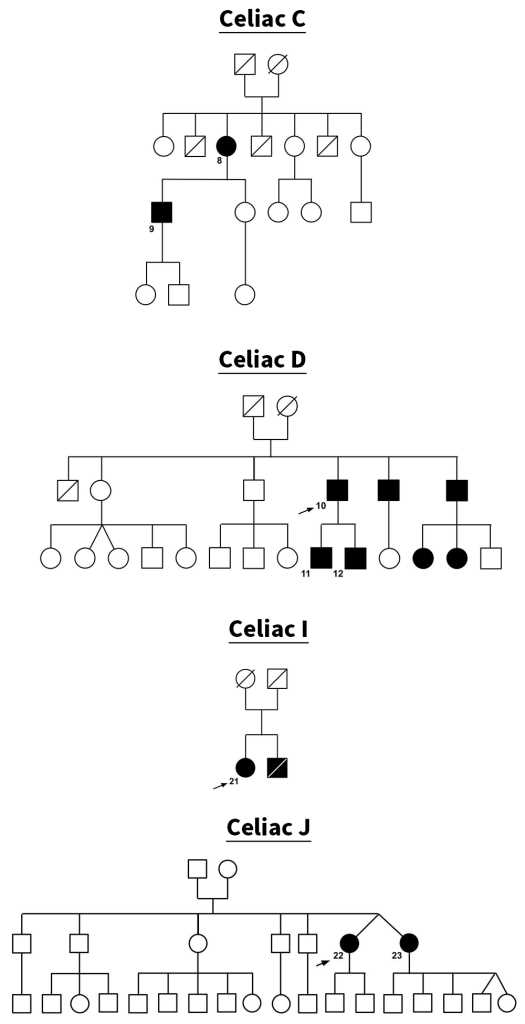 pedigree questions and answers