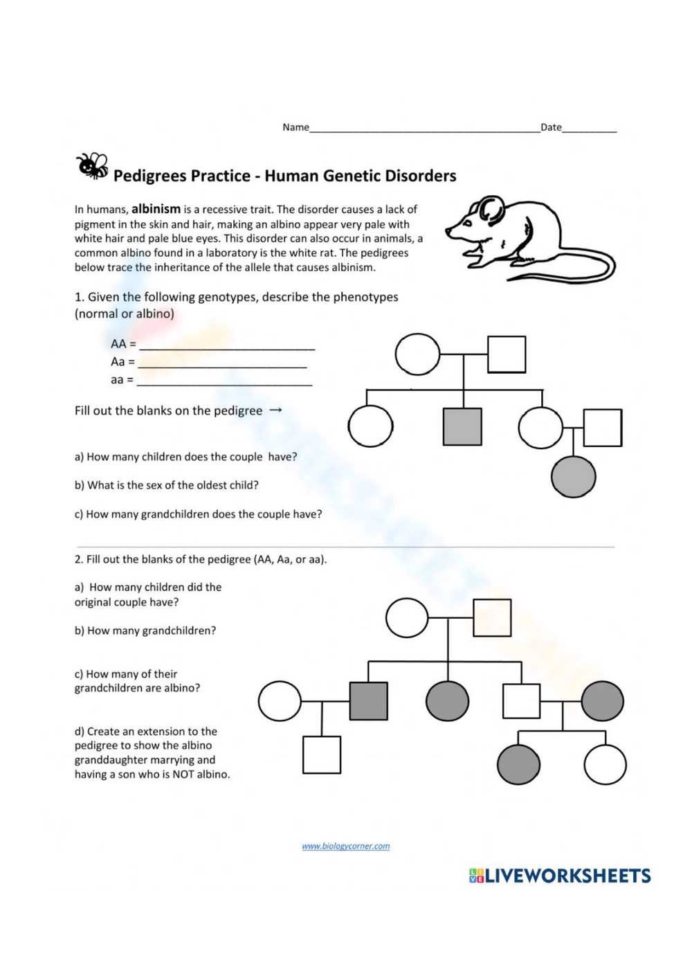 pedigree questions and answers