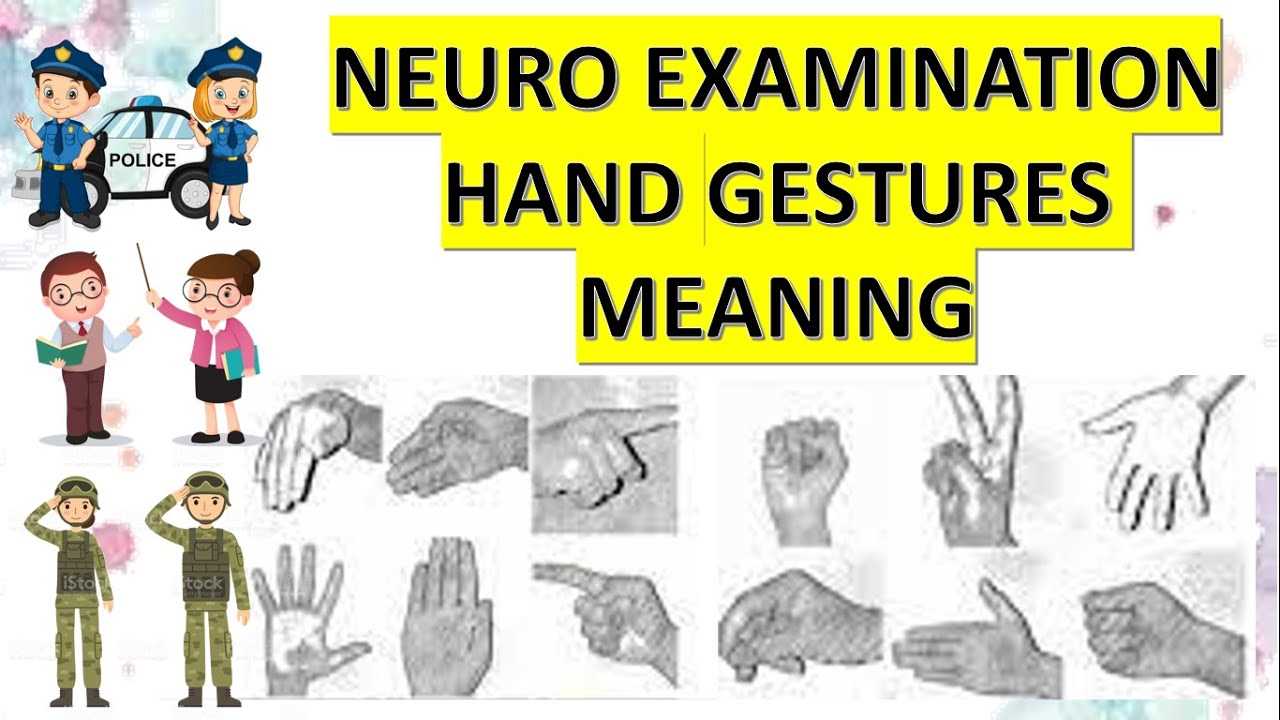 pnp neuro exam questions and answers