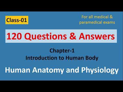 introduction to anatomy and physiology answers