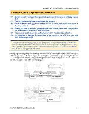 ap biology reading guide fred and theresa holtzclaw chapter 22 answers