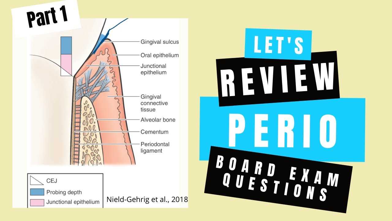 dentistry board exam questions and answers philippines