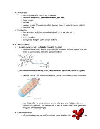 biology eoc practice test with answers