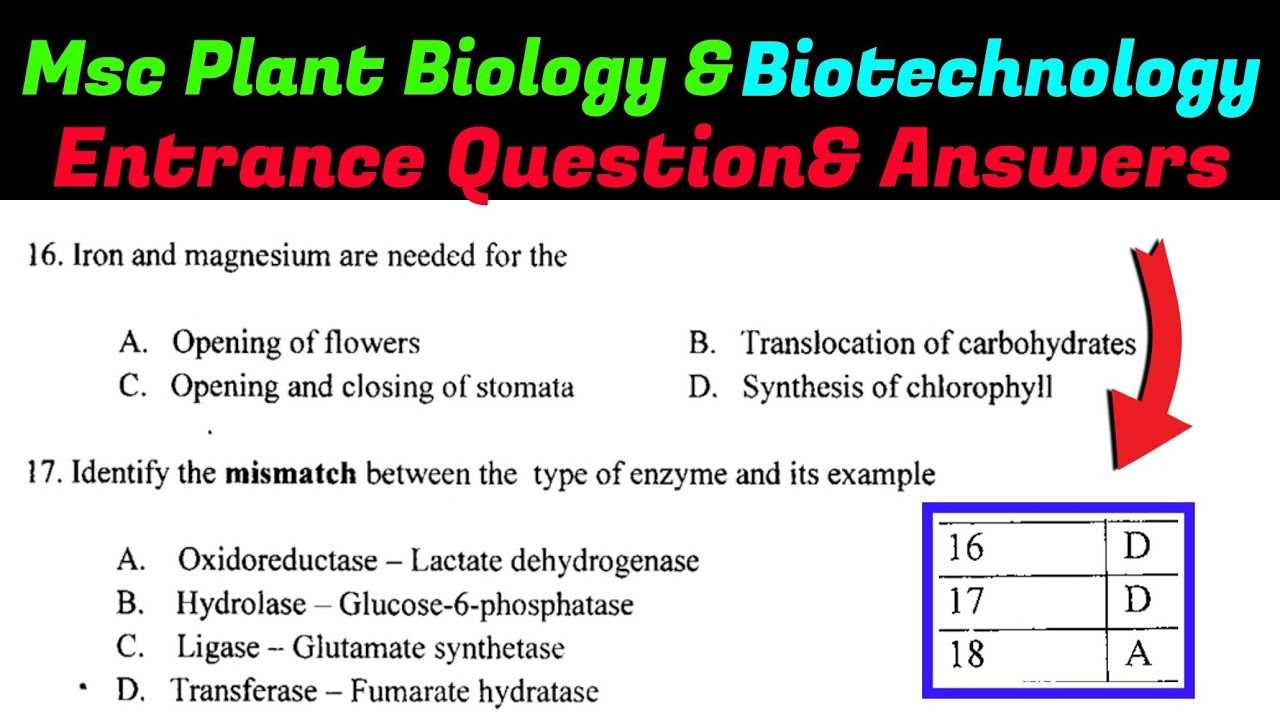 plant biology exam questions and answers