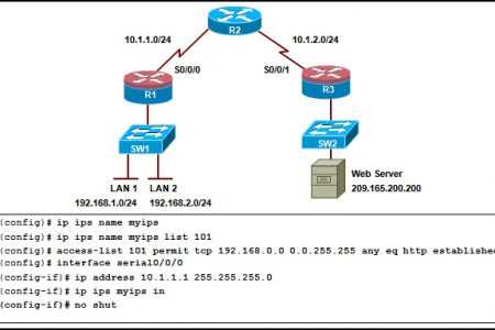 ccna chapter 2 exam answers