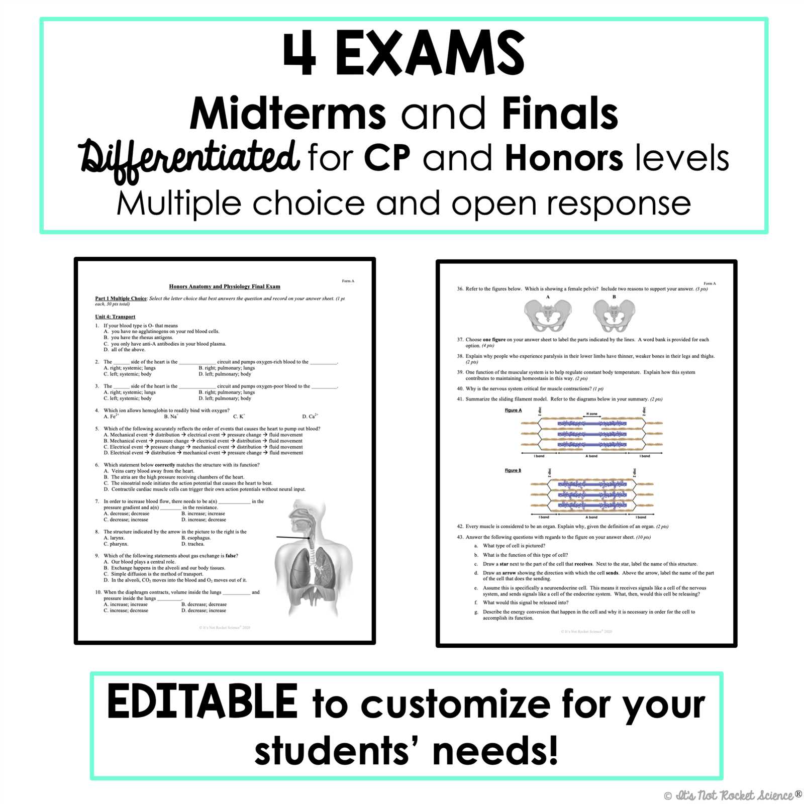 anatomy and physiology exam 1 answer key