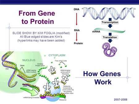 chapter 17 from gene to protein study guide answers