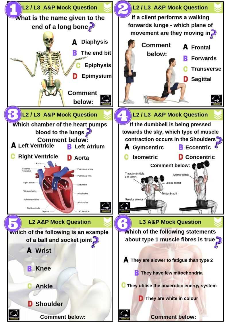 anatomy and physiology 2 exam 1 with answers