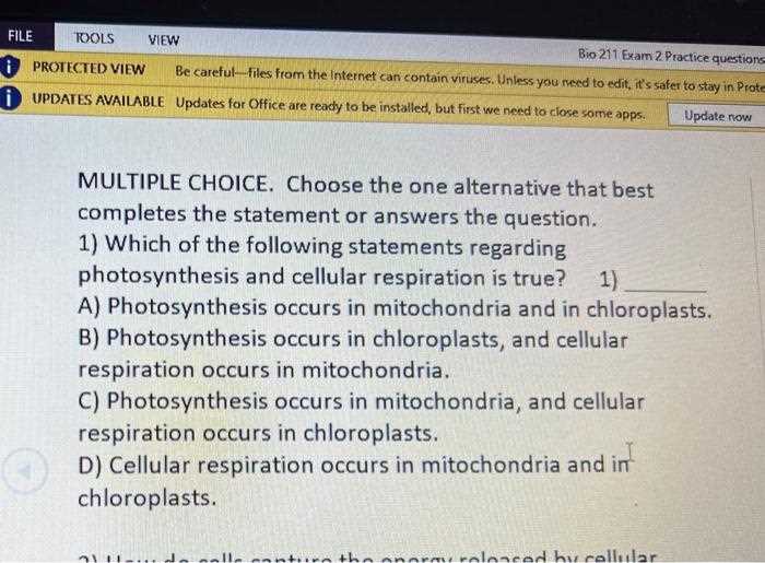 photosynthesis exam questions answers