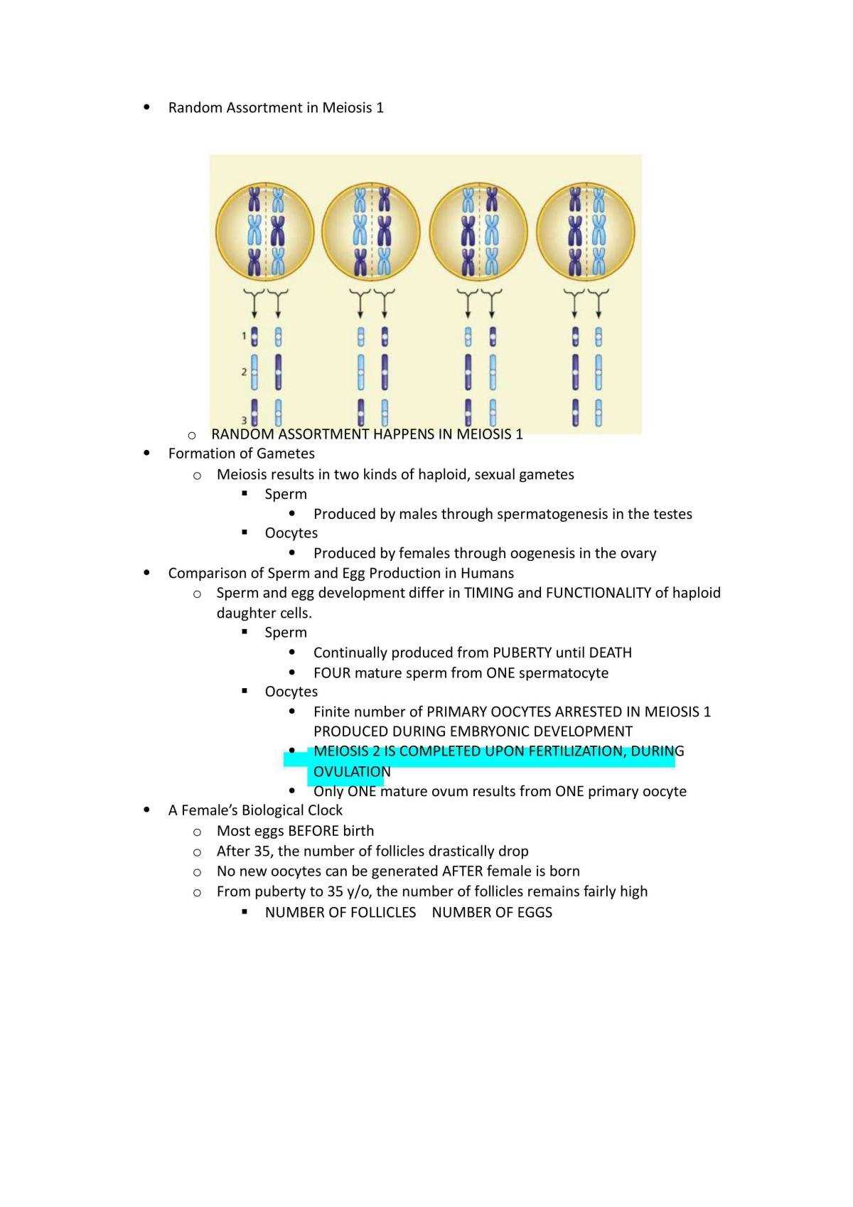 genetics exam 1 answers