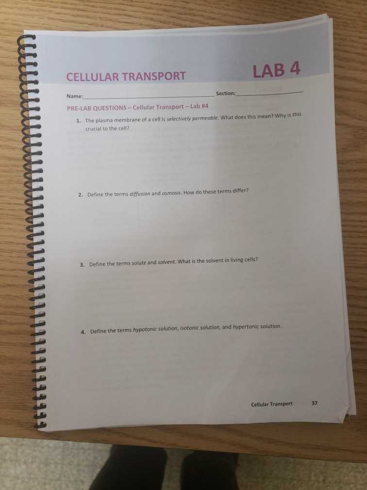 section 4 cellular transport answers