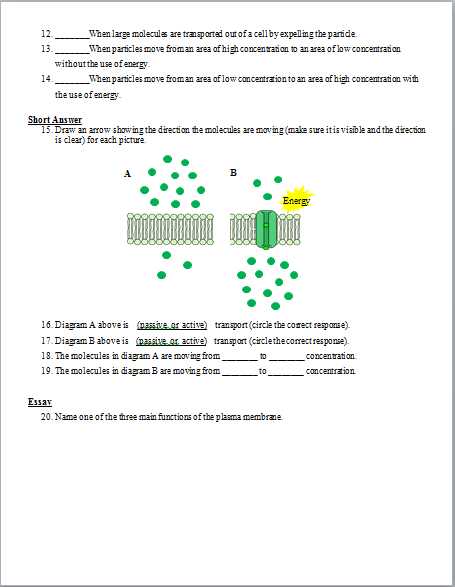 section 4 cellular transport answers