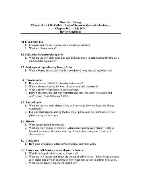 section 8 1 review chromosomes answer key