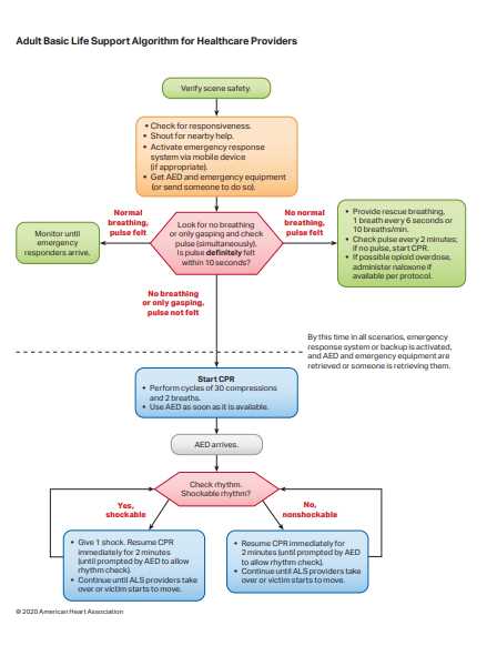 american heart association basic life support exam a answer key