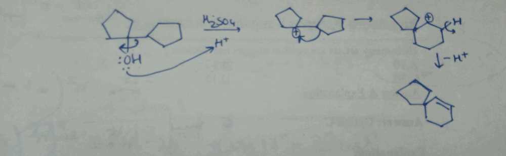 sp2 test answers