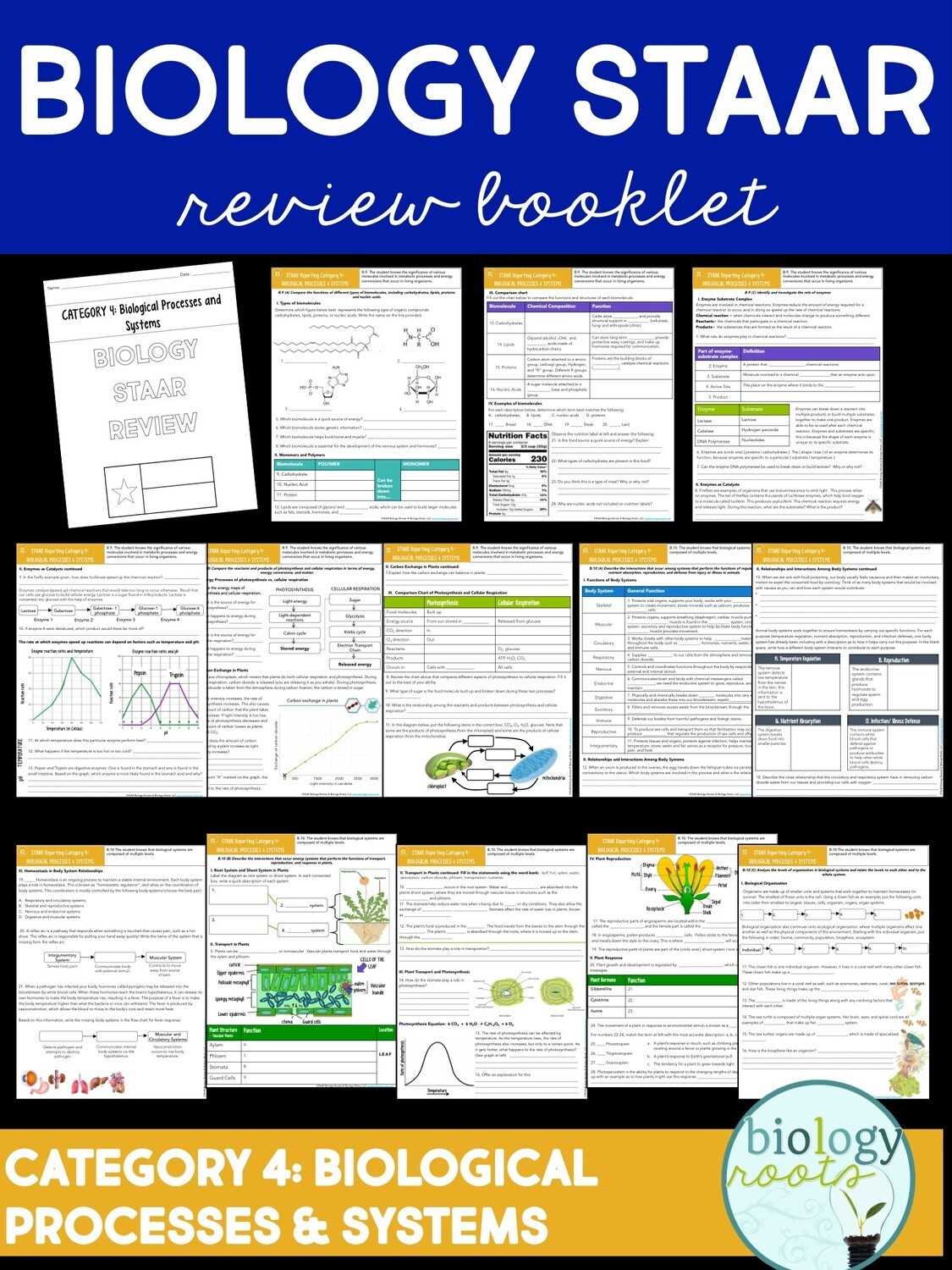 staar biology 2025 answer key